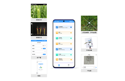 新疆小麦表型检测仪IN-XM04